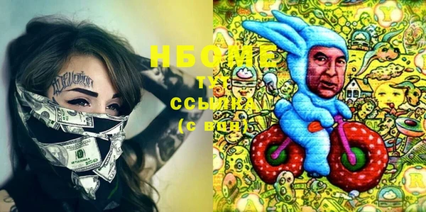 гашик Корсаков